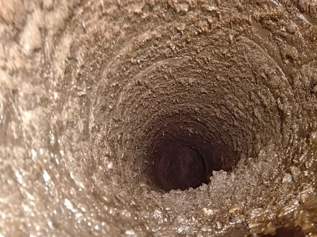 LimpGo - Proceso de Limpieza